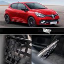 Clubsport Set - Strebe mit Netz für Renault Clio 4 RS